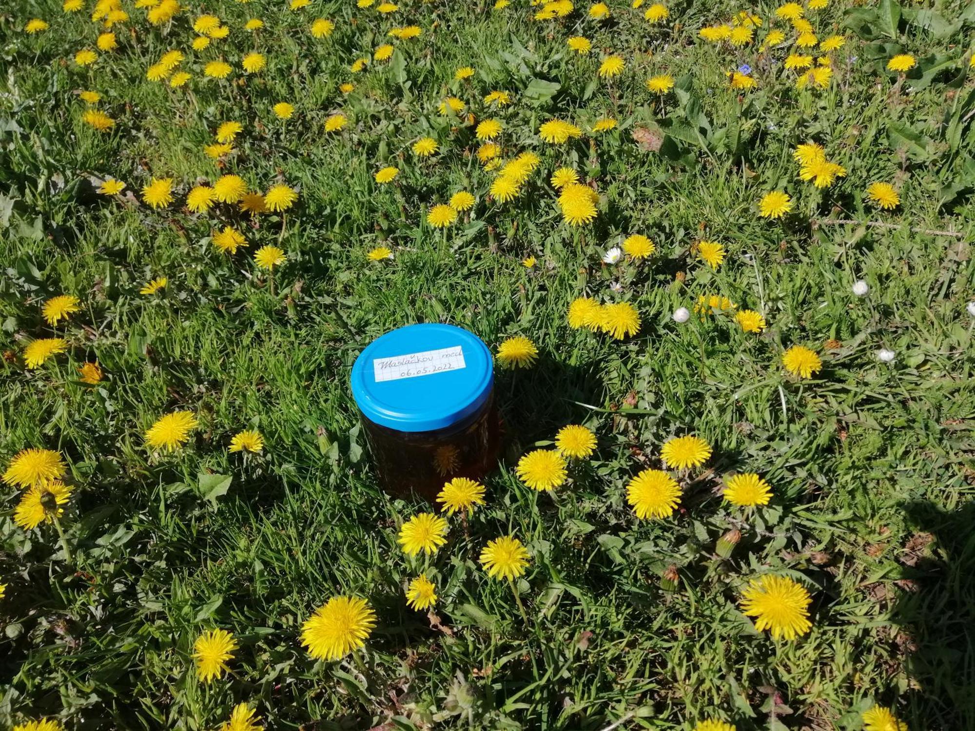 Tarin Zov Διαμέρισμα Kaludjerske Bare Εξωτερικό φωτογραφία